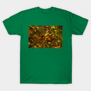 First Gale of Autumn T-Shirt